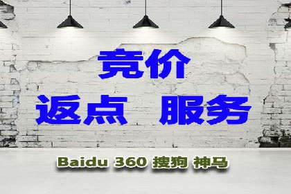 谷歌竞价广告在电商行业的运用案例